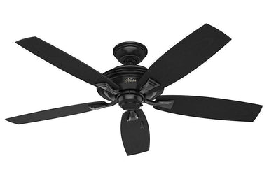 Hunter Rainsford - 52" Ceiling Fan in Matte Black- ETL Wet