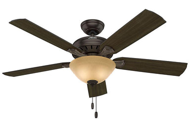 Hunter Fletcher - 52" Ceiling Fan in Premier Bronze