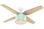 Hunter Cranbrook Collection - 52" Ceiling Fan in Mint Green