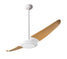 Modern Fan Co - IC2-GW-56-MP-NL-RC - 56" Ceiling Fan - IC/Air2